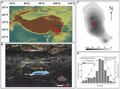 Synergistic effects of climate warming and atmospheric nutrient deposition on the alpine lake ecosystem in the south-eastern Tibetan Plateau during the Anthropocene